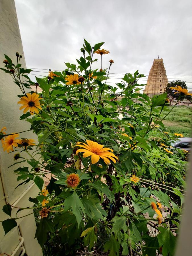 Ranjana Guesthouse Hampi Bagian luar foto